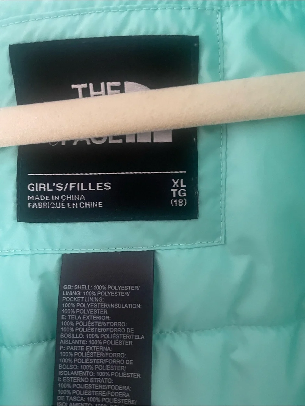 The North Face Women's Mint & black Ski Jacket
